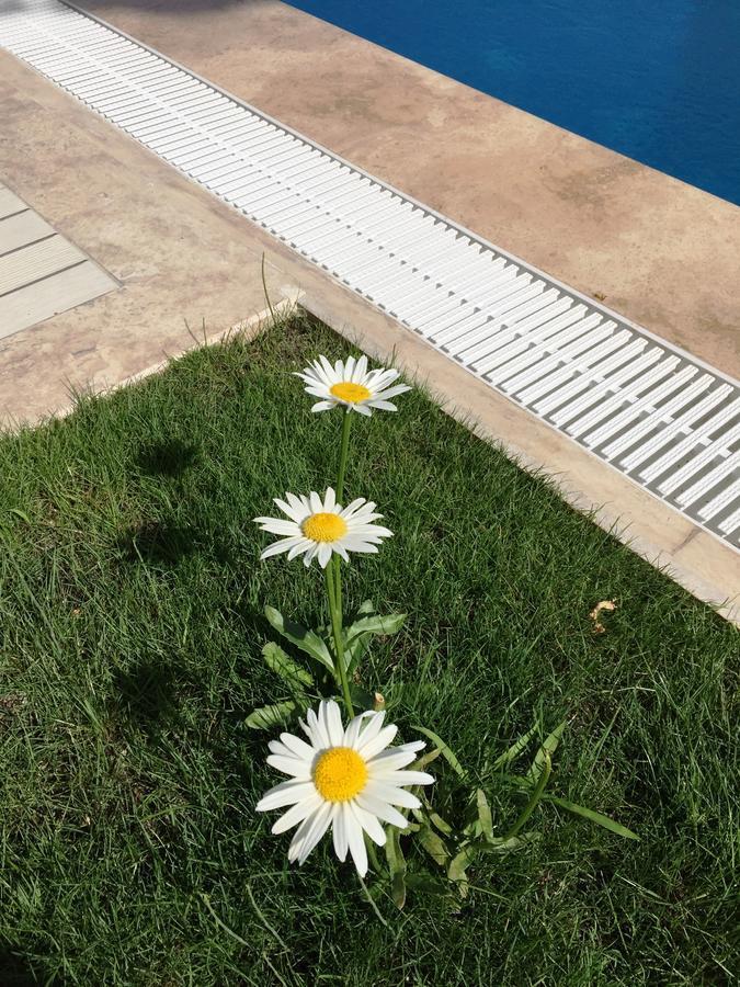 Casa Pallet Hotel (Adults Only) Dalyan Eksteriør bilde